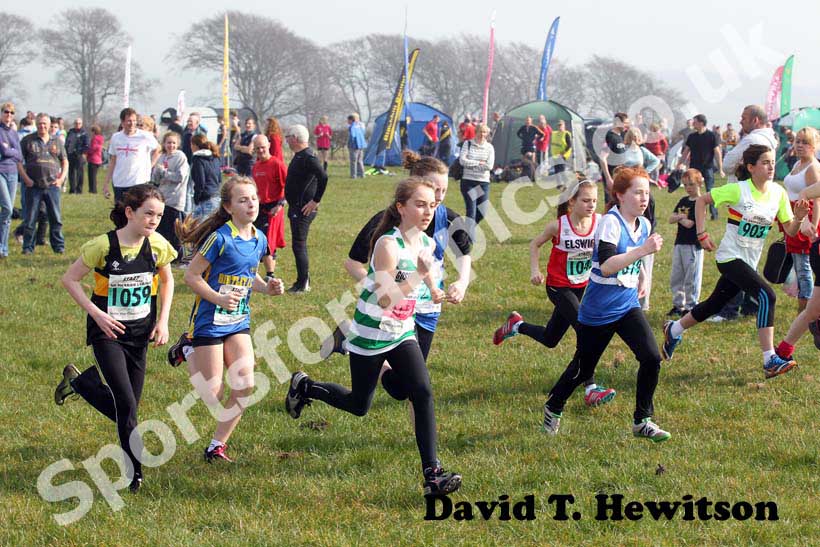Green start North East Harrier League, Prudhoe, Northumberland.